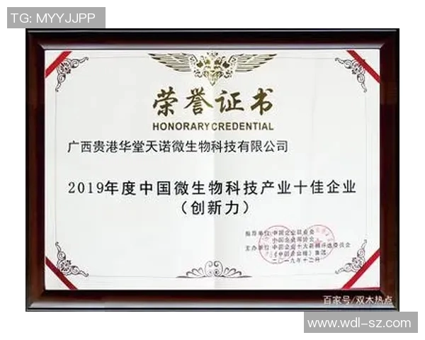 足球球星荣誉证书：见证传奇球员辉煌成就与历史贡献